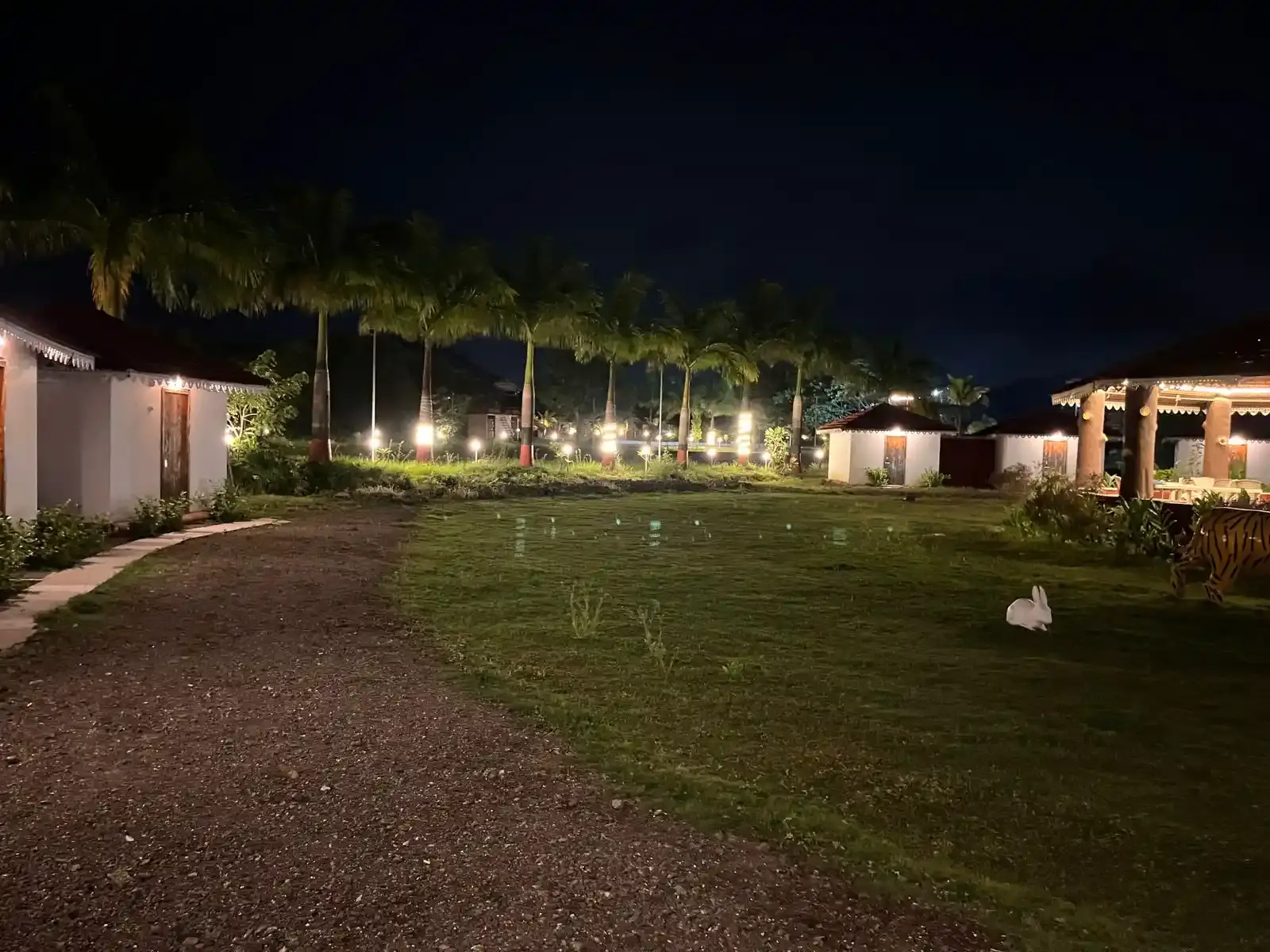 Organic Plantation Tour